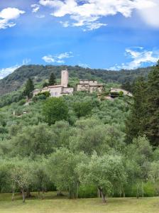 un pueblo en la cima de una colina con árboles en Villa "Il Prado" Piscina&Natura, en Camaiore