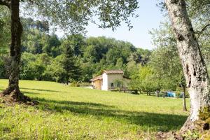 una casa en medio de un campo con árboles en Villa "Il Prado" Piscina&Natura, en Camaiore