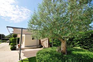 drzewo w trawie obok budynku w obiekcie Cypress Garden Villas w mieście Svoronata