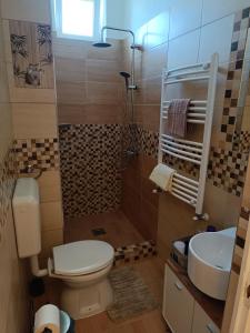 y baño con aseo y lavamanos. en Kiskastély Apartman en Balmazújváros