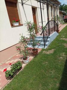 Zahrada ubytování Kiskastély Apartman
