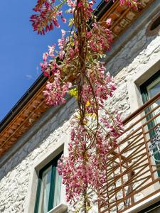 a bunch of pink flowers hanging from a building at Casa Rurale Faraone in Teggiano