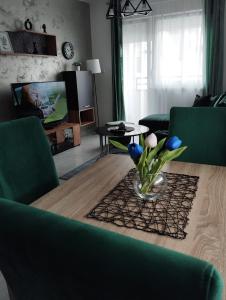 TV in/ali zabaviščno središče v nastanitvi Apartman Green!!