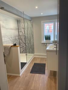 a bathroom with a shower and a sink at Ferienwohnung Marzipan - im Herzen der Altstadt, historisches Gebäude mit modernem Ambiente, W-LAN in Lübeck
