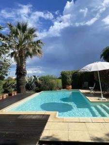 een zwembad met een parasol en een palmboom bij MasAupellière la petite Camargue in Vauvert