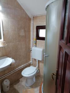 a small bathroom with a toilet and a sink at Korondi Kulcsosházak in Corund +36 photos