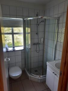 y baño con ducha, aseo y lavamanos. en Vinland Cottage, en Egilsstadir