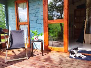 a cat laying on the porch of a house at Bojkolandia in Ustrzyki Dolne