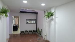 a hallway with white walls and potted plants at monoambiente centrico in Resistencia