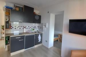 Il comprend une cuisine avec un évier et une télévision murale. dans l'établissement Apartment Pr Dev, à Begunje na Gorenjskem