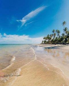 uma praia arenosa com palmeiras e o oceano em Ipioca Beach Resort em Maceió