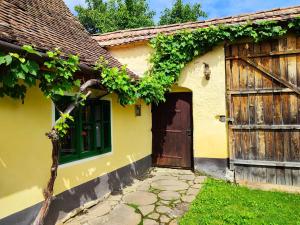 una casa amarilla con una puerta y hiedra en Verde de Viscri en Viscri