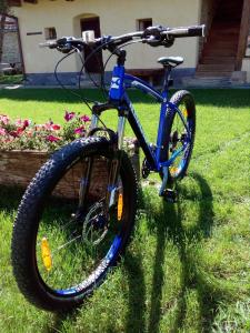a blue bike parked in the grass in a yard at Verde de Viscri in Viscri