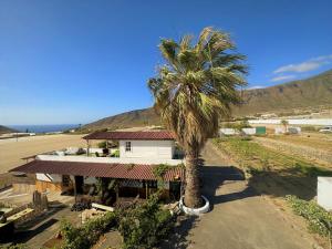 a palm tree in front of a house at Los Conejos in Santa Cruz de Tenerife