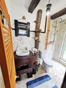 ein Bad mit einem Waschbecken und einem WC in der Unterkunft Emoția Munților 