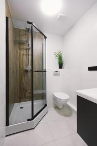 La salle de bains est pourvue d'une douche, de toilettes et d'un lavabo. dans l'établissement Нова квартира з неймовірним краєвидом на озеро, à Kiev