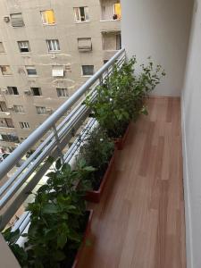 a balcony with plants in planters in front of a building at Central Cairo Hotel in Cairo