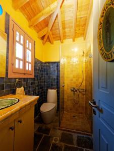a bathroom with a shower and a toilet and a sink at Tsagkarada Country Estate with Pool in Tsagarada