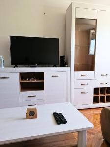 En tv och/eller ett underhållningssystem på Apartment Novi Central