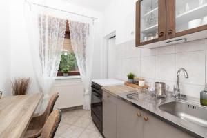 a kitchen with a sink and a counter top at Vacation home Ivana in Vukovar