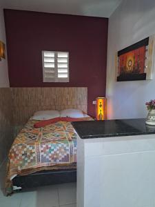 a bedroom with a bed in a room with a counter at A Toca do Bem-Te-Vi in Águas Belas