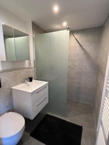 a bathroom with a shower and a toilet and a sink at Ferienwohnung Via Callidus in Xanten +14 photos