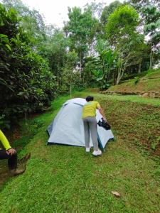 Eine Frau steht neben einem Zelt im Gras in der Unterkunft Kebun Hanoman Camping Ground in Pablengan
