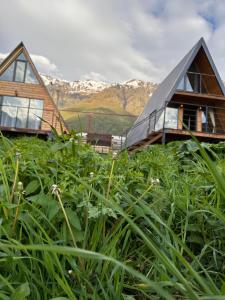 a house on a hill with mountains in the background at Alagi Cottage Kazbegi in Stepantsminda
