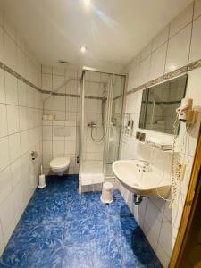 a bathroom with a toilet and a sink and a shower at Gasthaus Elsäßer Hof in Kappel-Grafenhausen