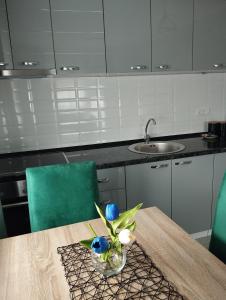 Kuhinja oz. manjša kuhinja v nastanitvi Apartman Green!!
