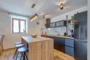 a kitchen with a counter and a refrigerator at Holiday House Lena in Baderna