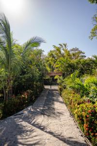 una pasarela a través de un jardín con palmeras y flores en Cabaña Villa Victoria, en El Valle de Antón