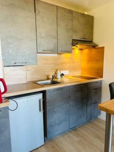 Kuchyň nebo kuchyňský kout v ubytování Bel appartement coeur de Vannes