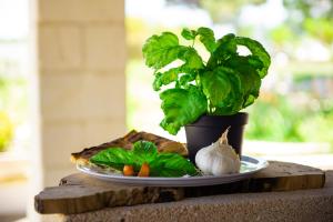 a plant on a table with a plate and a plant at Villa Conca Marco in Torre dell'Orso