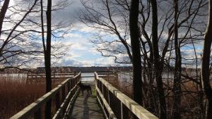 a dog walking on a bridge over a body of water at Ferienwohnung "Specker Krug" in Kargow