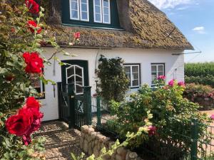 a cottage with a thatched roof and red roses at Deichhof Whg Luana in Dunsum