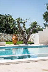 una piscina con un árbol y un jarrón en Villa Bianca - Private swimming pool - Center - by ClickSalento, en Ostuni