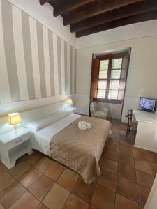 1 dormitorio con 1 cama y 1 mesa con TV en B&B Julia's Friends, en Sassari