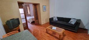 a living room with a black couch and a tv at Apartamento no Centro de Friburgo in Nova Friburgo
