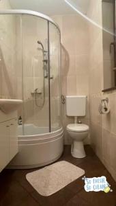 een badkamer met een douche, een toilet en een wastafel bij Moonica Rujiste in Mostar
