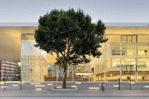 a tree in front of a large building at Schickes Messe Appartement mitten in Essen in Essen