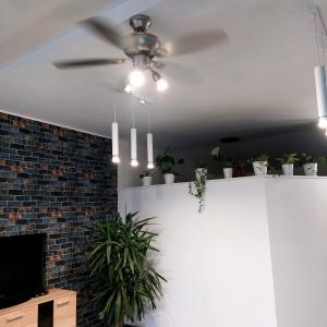 a ceiling fan in a living room with plants at Apartament przy Białym Koniu in Koszalin