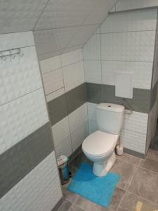 łazienka z białą toaletą i niebieskim dywanem w obiekcie Rafaelo Władycze 17/4 w mieście Przemyśl