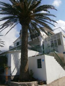 a palm tree in front of a white house at Apartments Tri Palme in Baška Voda