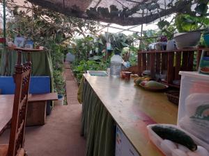 a greenhouse with a counter with vegetables on it at Twin room in the greenhouse close to mountains and surf paradise in Tejina