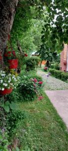 a garden with flowers in pots next to a tree at Apartment Dulovine in Kola&scaron;in