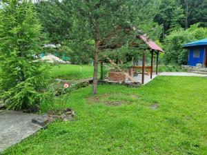 Gallery image of Restaurant-Pensiune La Danila in Zolt