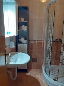La salle de bains est pourvue d'un lavabo et d'une douche. dans l'établissement Garden, à Varaždinske Toplice