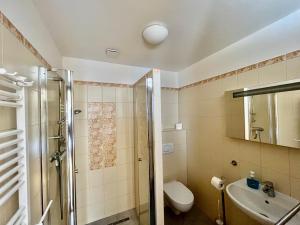 a bathroom with a shower and a toilet and a sink at Privat u Eriky in Stará Lesná +41 photos