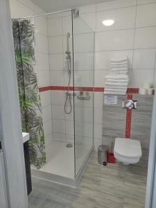 Un baño con ducha de cristal con inodoro. en Domki California, en Jastrzębia Góra